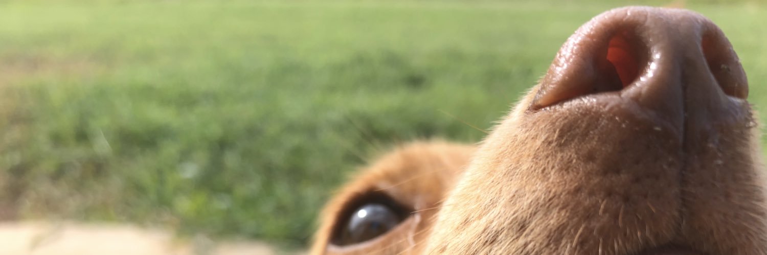 Masggirl's profile banner image