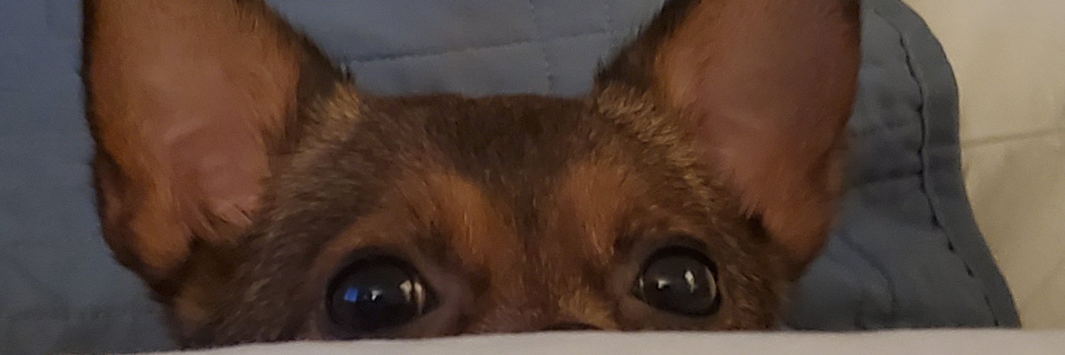 fpg119's profile banner image