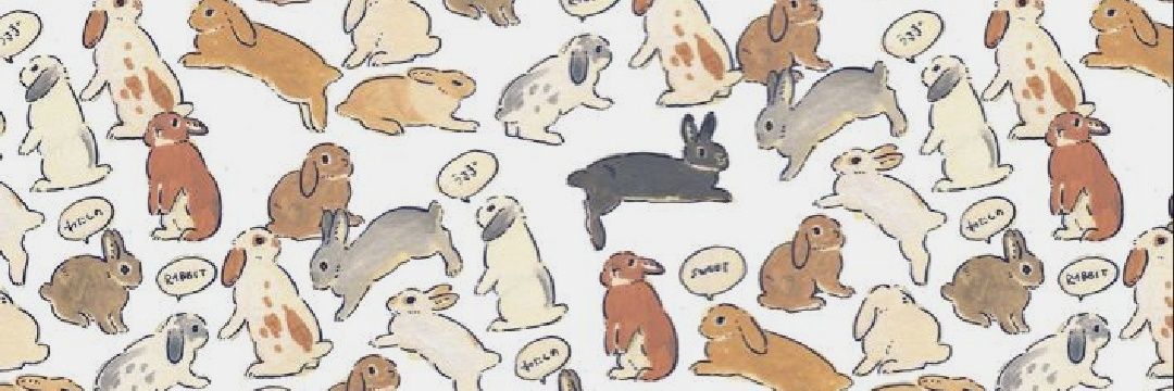 lululozzanoo's profile banner image