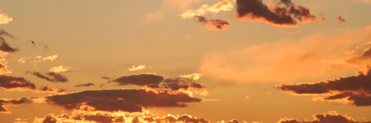 TLoPerfect's profile banner image
