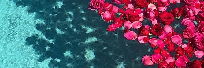 lale22_dpr's profile banner image