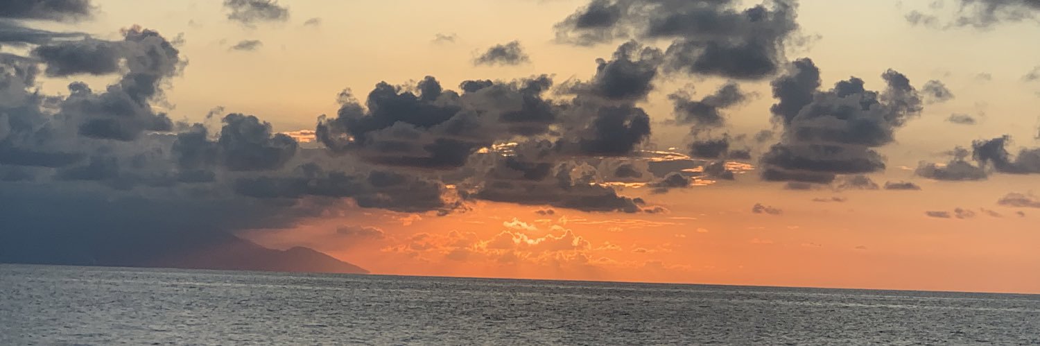 10_palmita's profile banner image