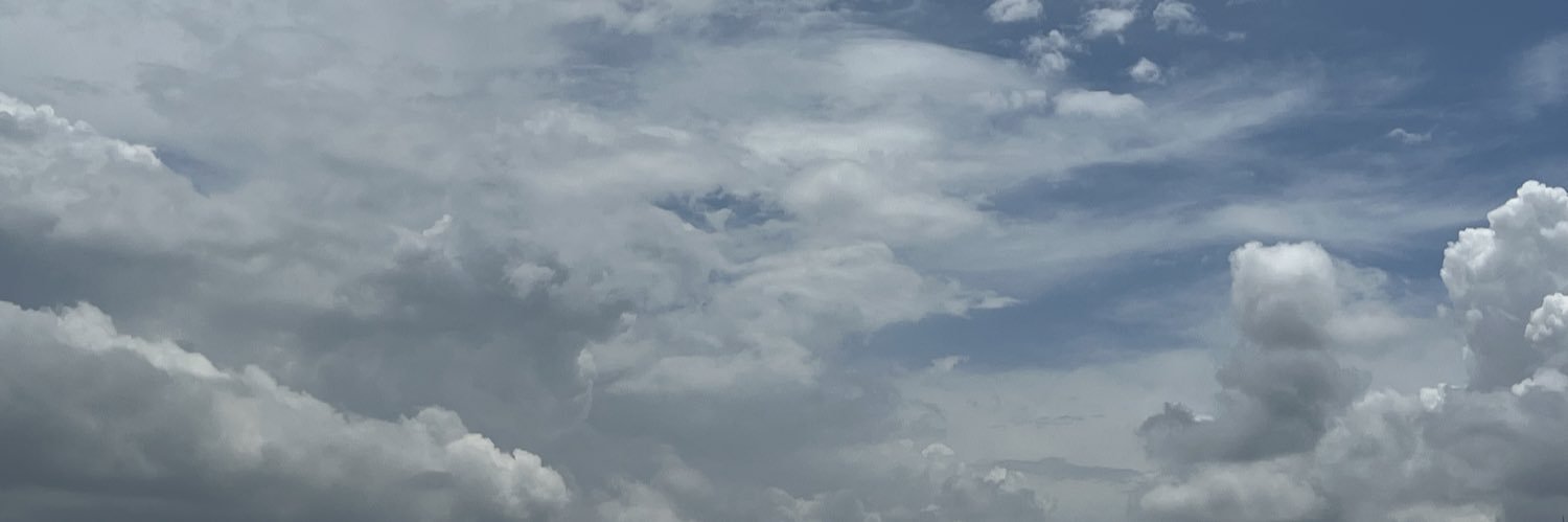 TasDBJo's profile banner image
