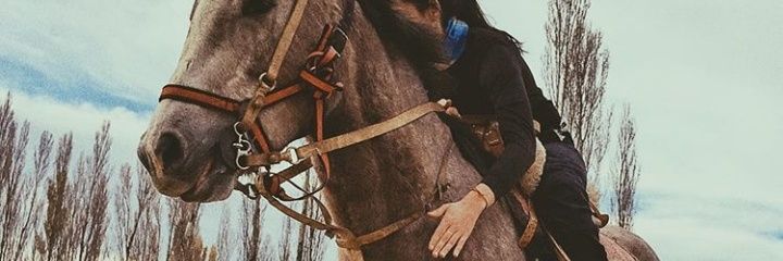 palyperal's profile banner image