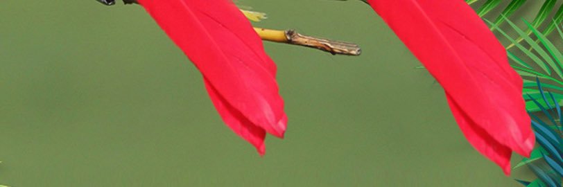 ozedaae's profile banner image
