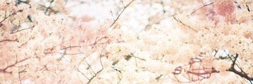 kusxava's profile banner image