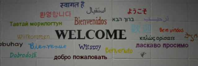 Tripp Elementary banner