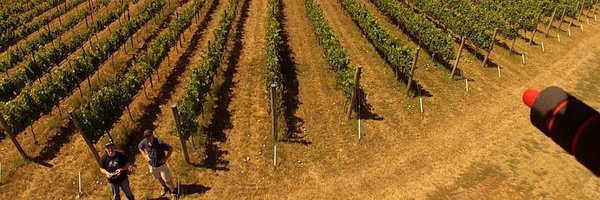 GeoVine Profile Banner