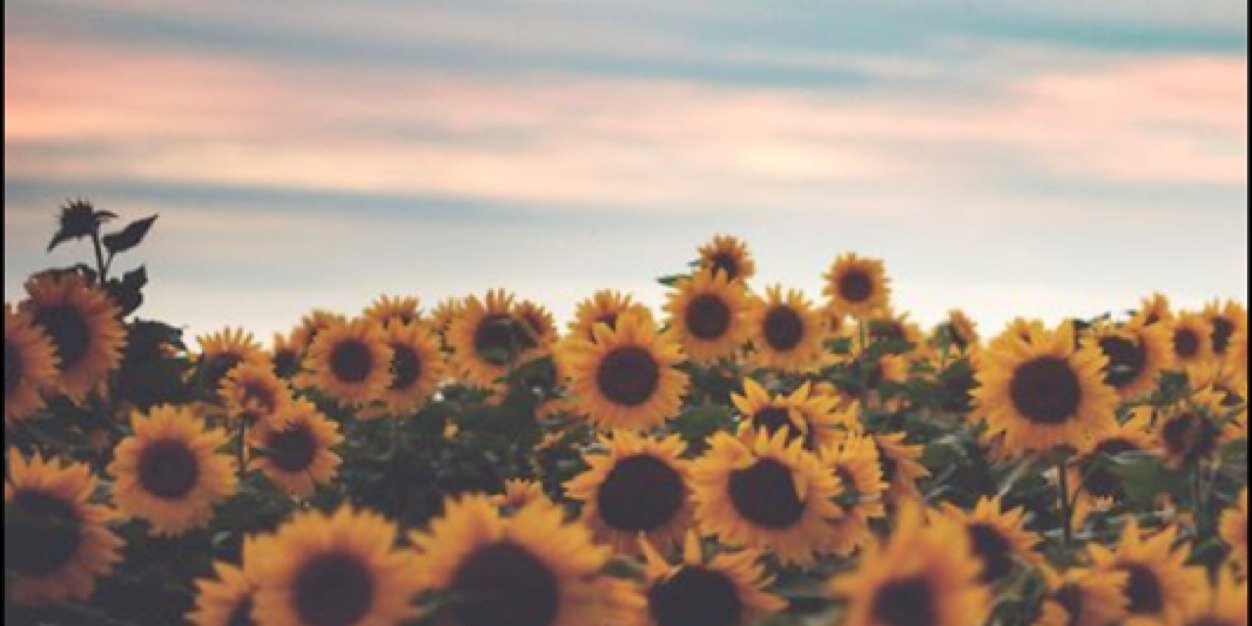 julia_dangelo's profile banner image