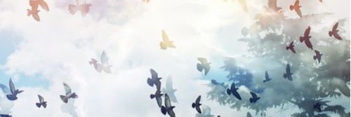 sergluyando's profile banner image