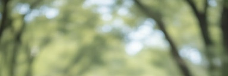 DaveReed75's profile banner image