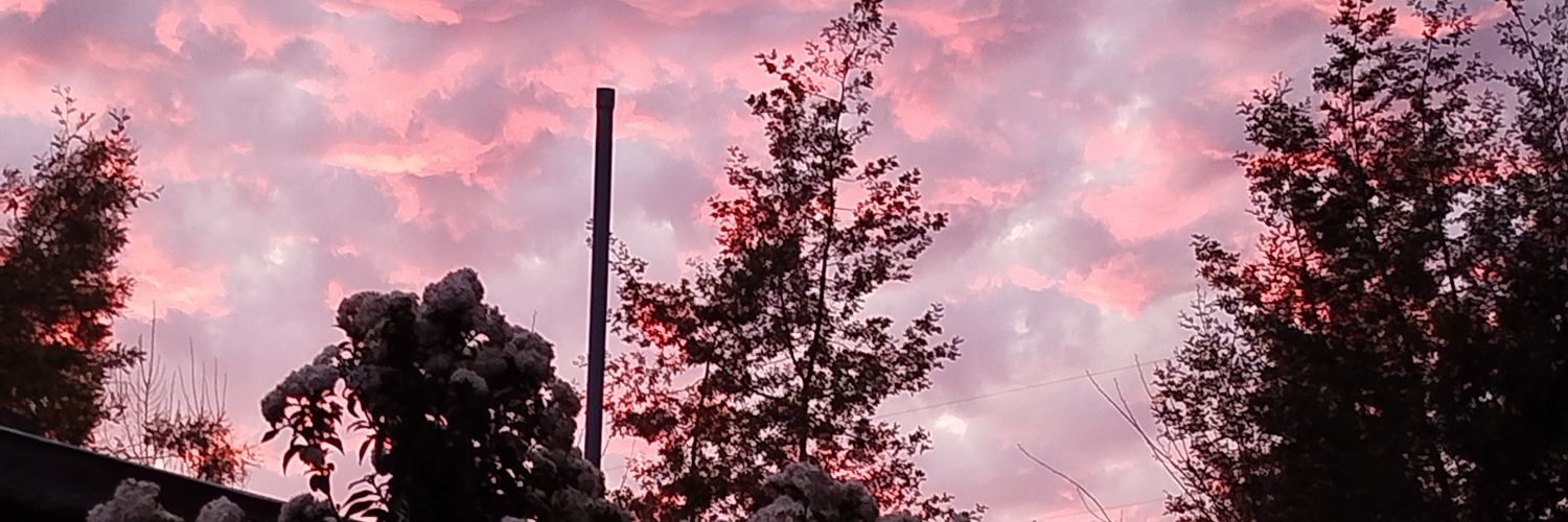 junkie_gollo's profile banner image