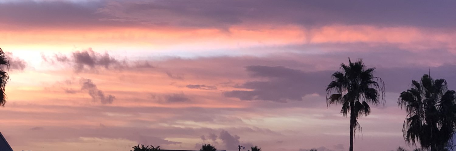 tsaleia's profile banner image