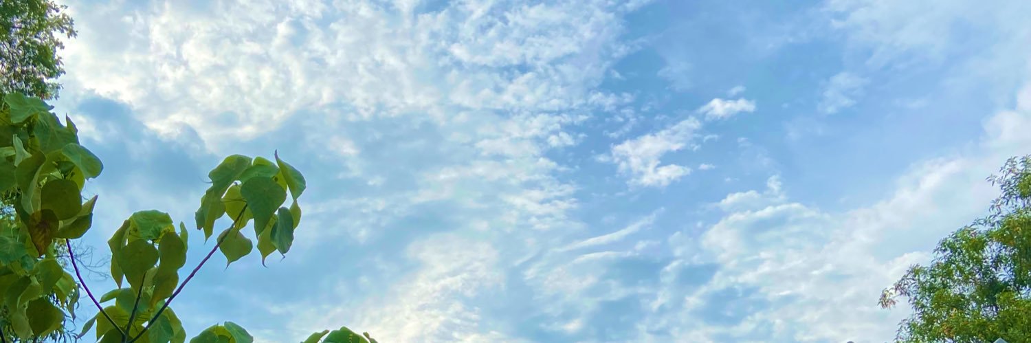 arvinadwi's profile banner image