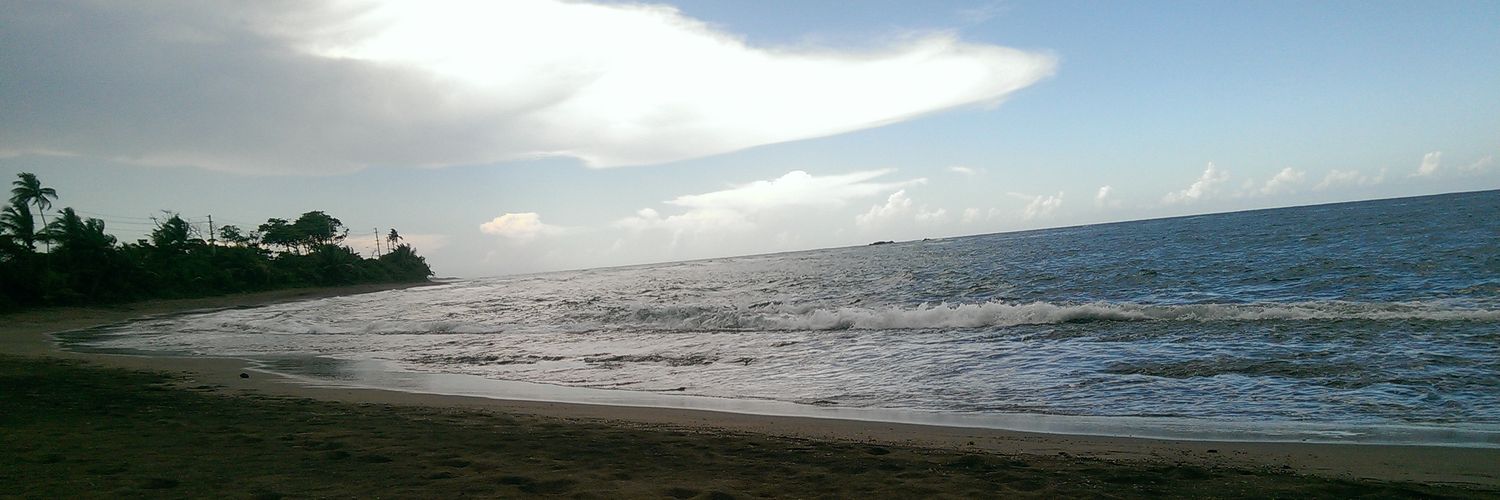 bella_genio's profile banner image