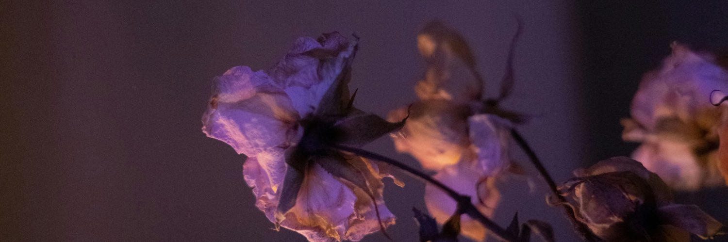 gisshva's profile banner image
