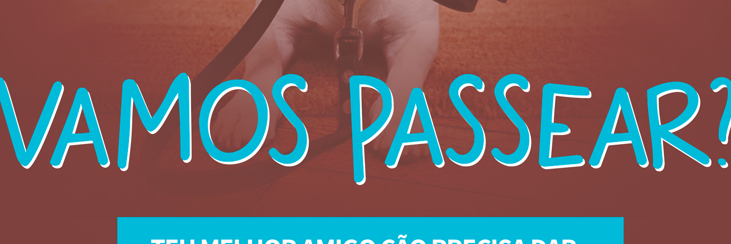 vamopassear's profile banner image