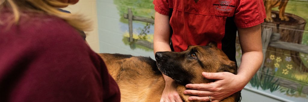 OVC Pet Trust banner