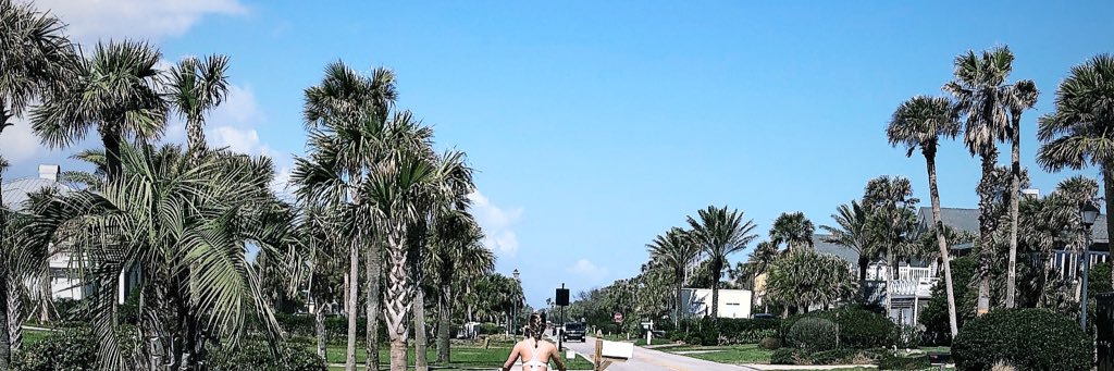 chlobug_'s profile banner image