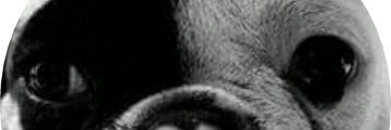 440_burak's profile banner image