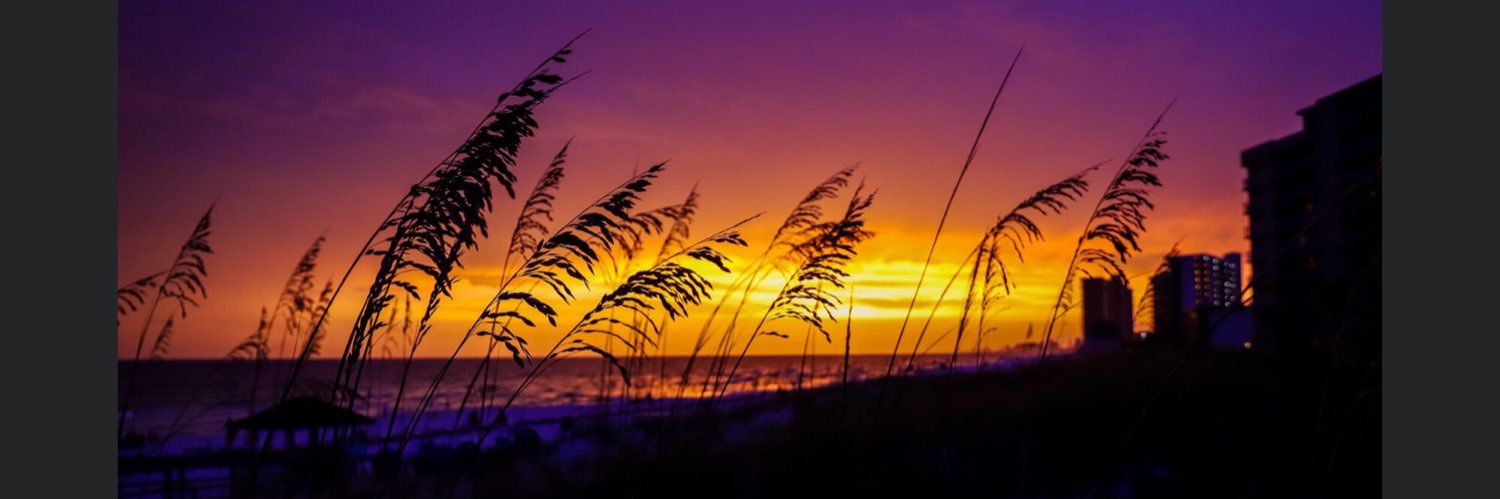 👸🏼🧡💙PrincessTiger💙🧡👸🏼 banner