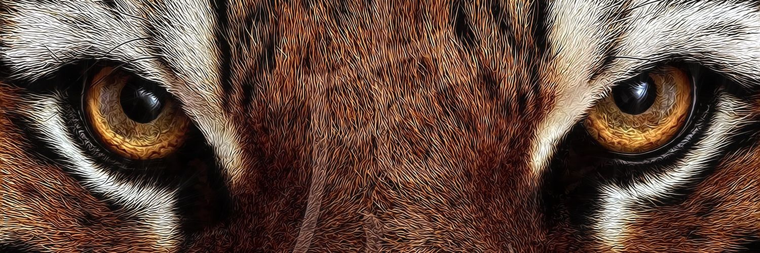 MiguelPWesh's profile banner image