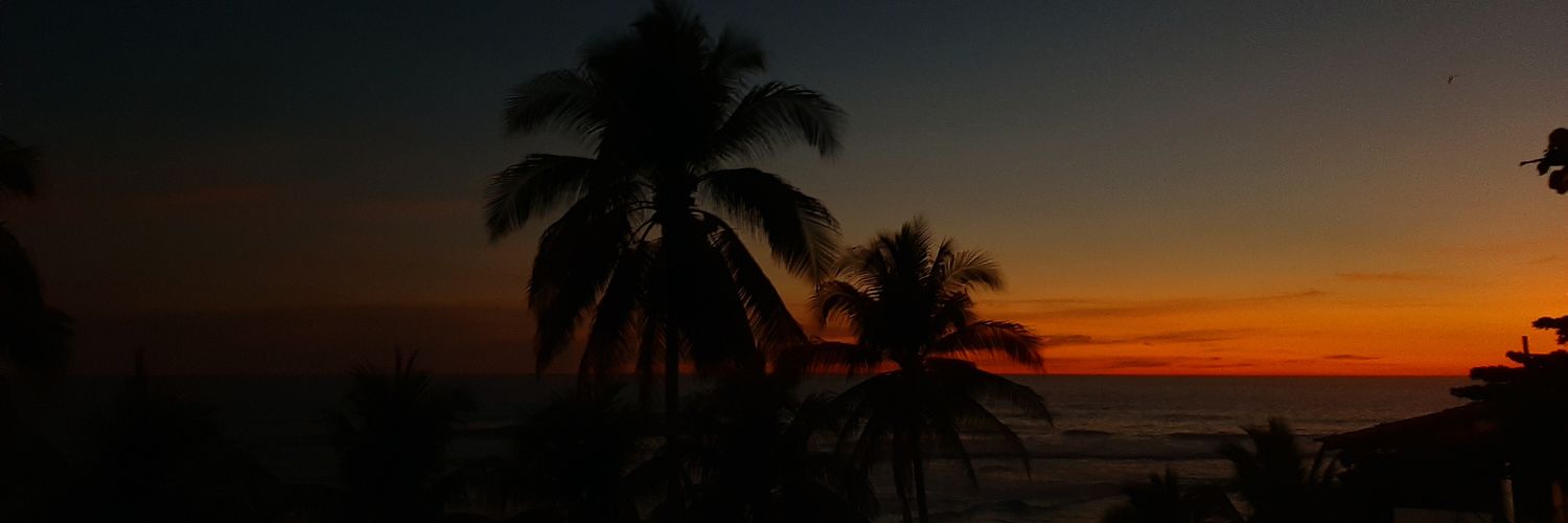 Rosa_2397's profile banner image