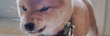 toddytweats's profile banner image
