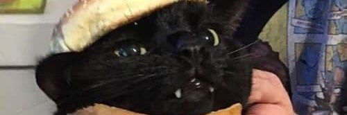 macoxxi's profile banner image