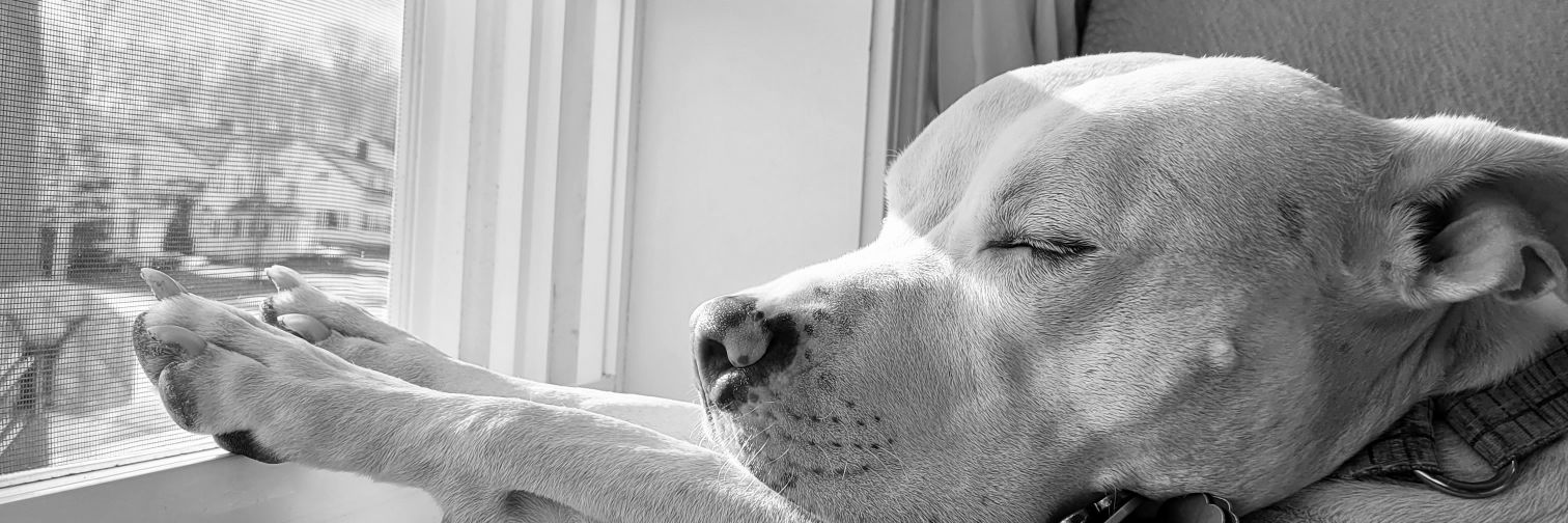 beth_tigue's profile banner image