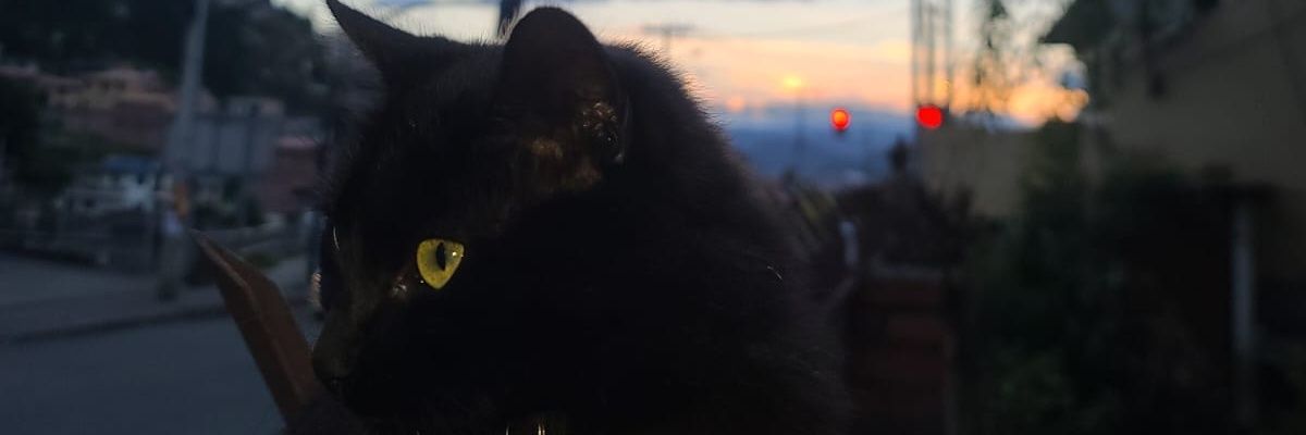 Hellfer666's profile banner image