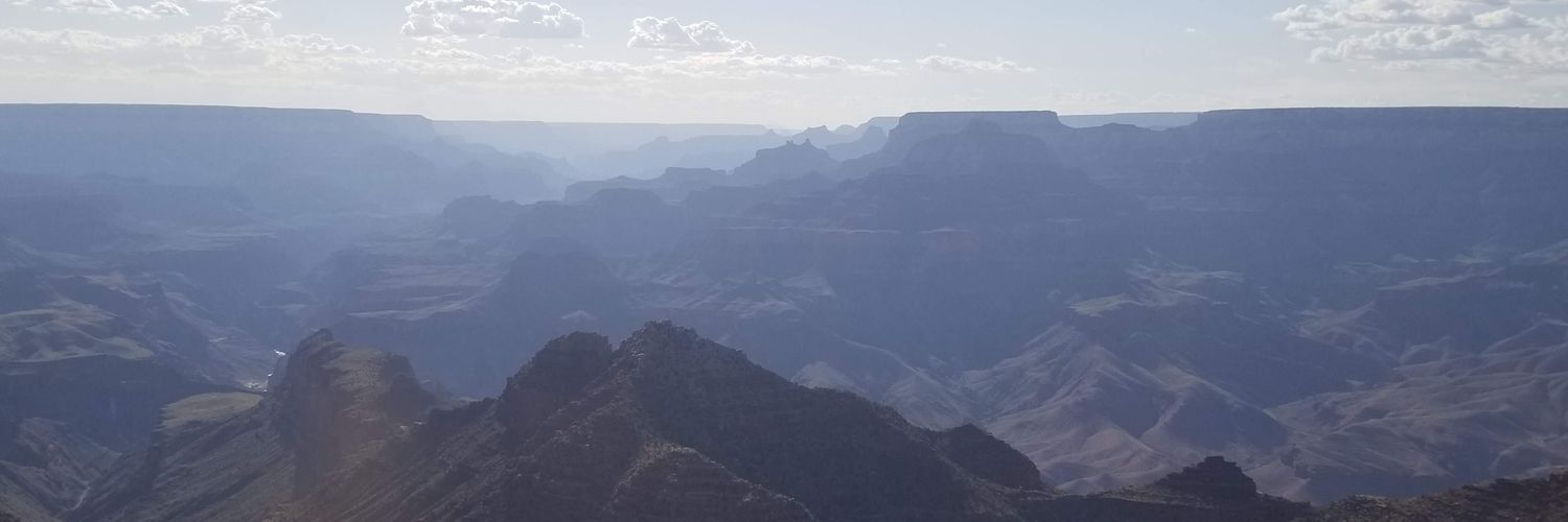 chiefhollee's profile banner image