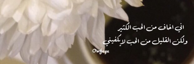 Owfaya's profile banner image