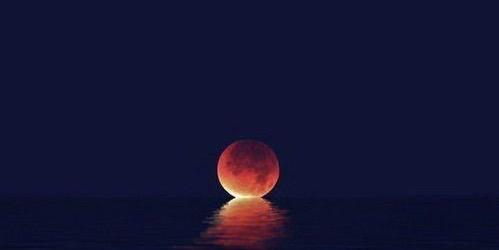 Alfred Schefberger banner