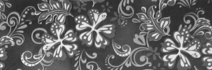 oli_briones's profile banner image