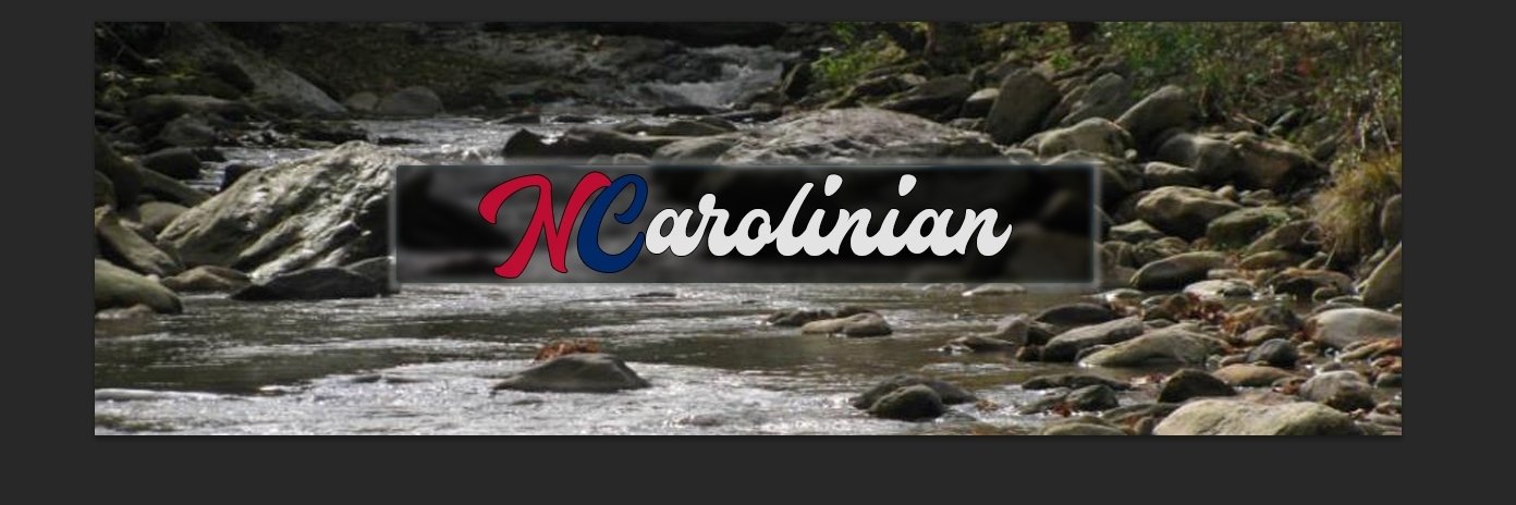 NCarolinian1's profile banner image