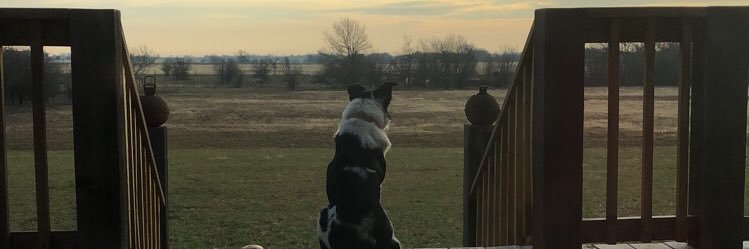 rileyv_23's profile banner image