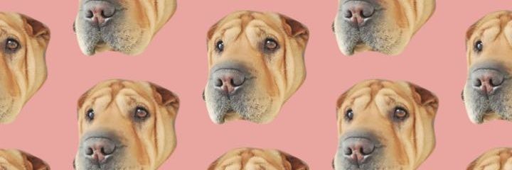 zaaam_'s profile banner image