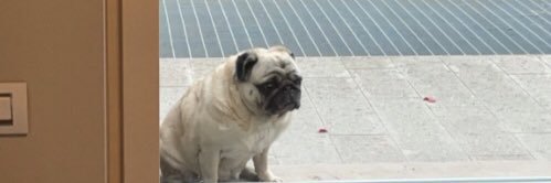 mikey_lb's profile banner image