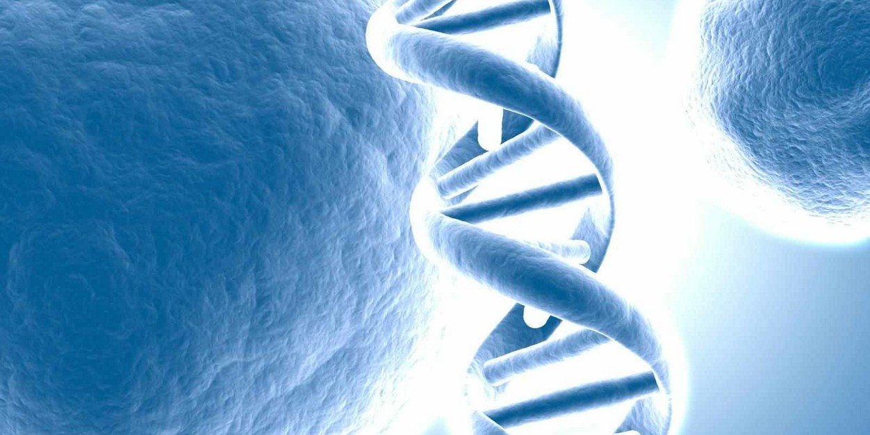 Jolyon Travis banner