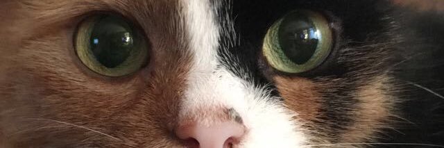 jntnex's profile banner image