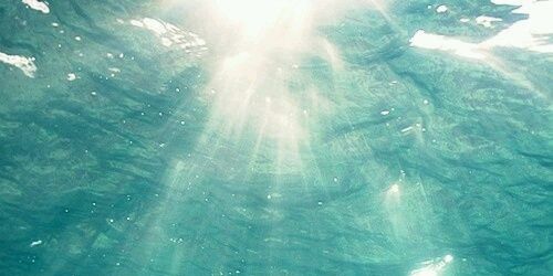 kimalarose1's profile banner image