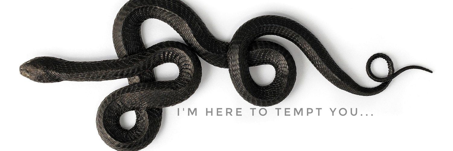 Mary_JO_CrOwley *Shattered Demon*🥃🔥🐍🕊️ banner