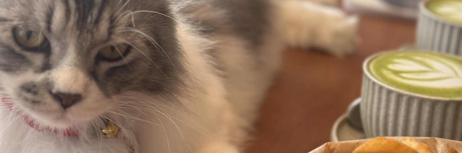 ngethought's profile banner image