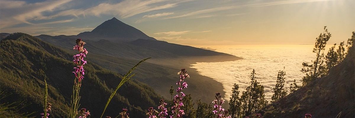 bcrubac's profile banner image