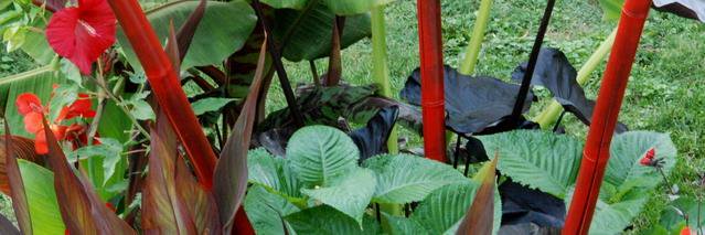 Hortigal55's profile banner image