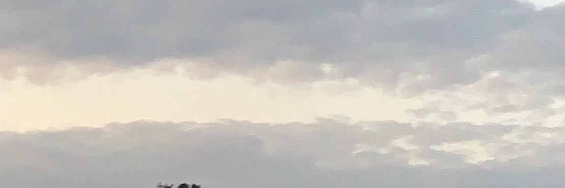 mrscomptons4th's profile banner image