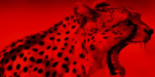 soloverinsky's profile banner image