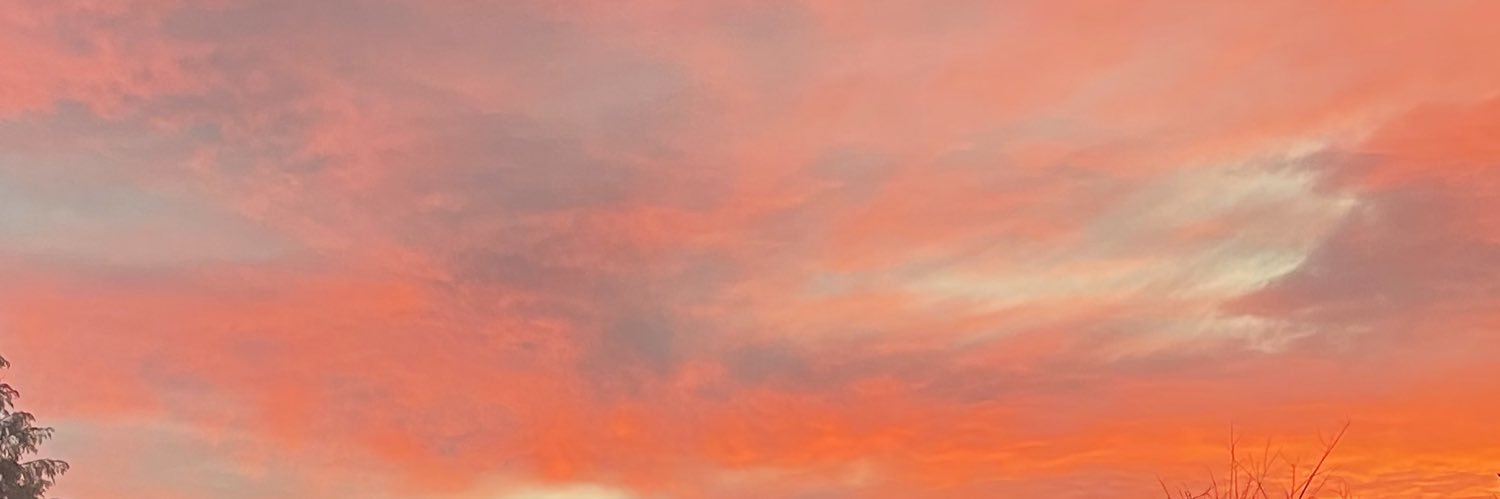amyEphillips's profile banner image