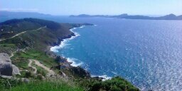 Lau banner